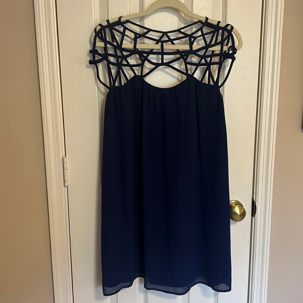 Naked Zebra Navy Dress